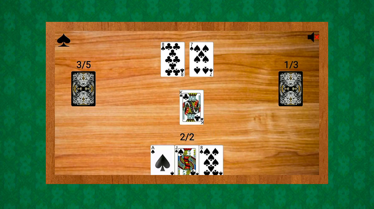 325 card game
