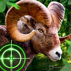 Play Wild Hunter 3D on PC
